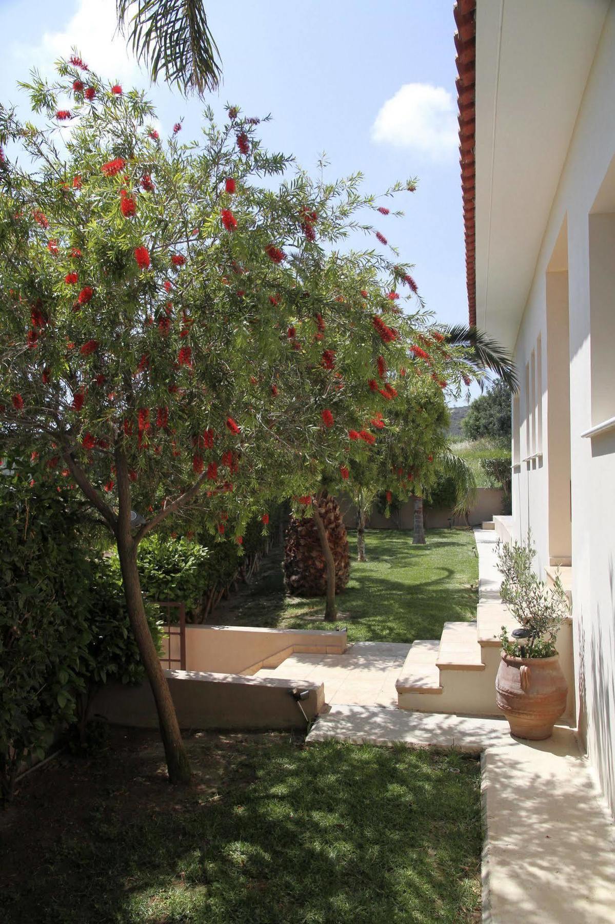 Eve Pissouri Xιnisteri Villa Exterior foto